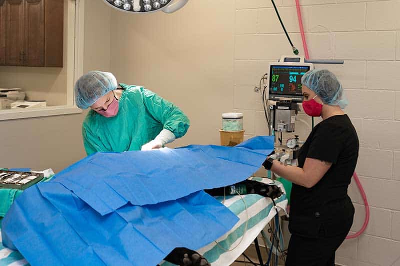 An orthopedic surgery procedure An orthopedic surgery procedure