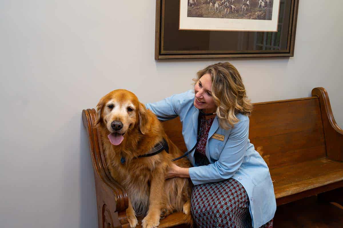 An older dog with our veterinary staff. An older dog with our veterinary staff.