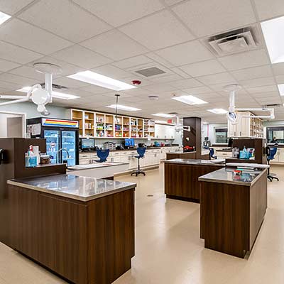 Our Main Treatment Area