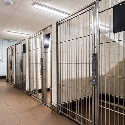 Our Kennels